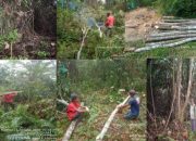 Dianggap Lempar Batu Sembunyi Tangan Kuasa Hukum KOPPSA-M Segera Laporkan PTPN IV Regional 3 ke Kejagung