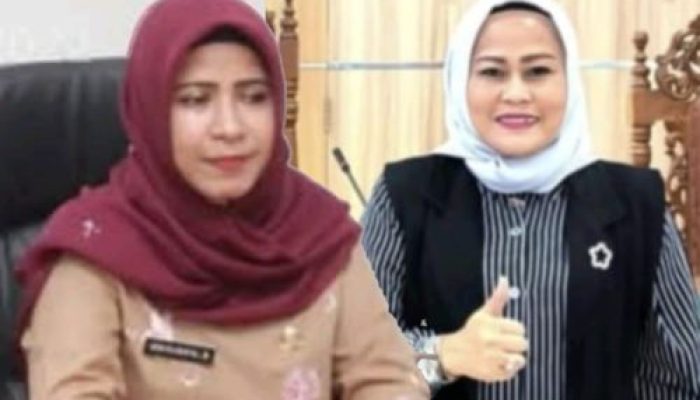 Direktur RSUD Arifin Achmad Laporkan Jurnalis ke Polda Riau, Dian Wahyuni: Hanya Malaikat Maut yang Kita Takuti