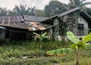 Rayakan HUT Kampar Ke-75, Ketua KNPI Riau Sentil Telinga Para Pejabat “Kalian Mewah Semua, Tapi Masih Ada Rumah Warga Layaknya Kandang Ayam”