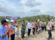 Program Ketahanan Pangan dengan Penanaman Jagung Serentak di Pangkalan Kuras
