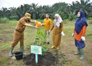 Dukung Ketahanan Pangan Nasional, Pj Bupati Kampar Tanam Padi di Desa Kayu Aro Kampar Utara