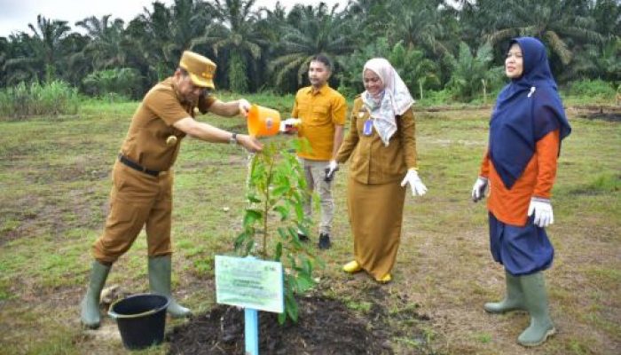 Dukung Ketahanan Pangan Nasional, Pj Bupati Kampar Tanam Padi di Desa Kayu Aro Kampar Utara