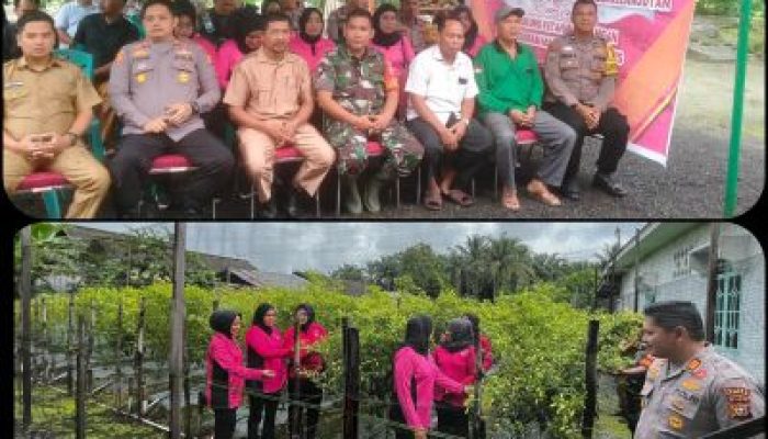 Polsek Tapung Hilir Dukung Program Pekarangan Pangan Lestari, Dorong Kemandirian Pangan di Desa Tapung Makmur