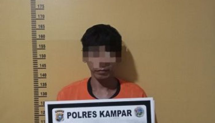 Satnarkoba Polres Kampar Ringkus Pemuda Diduga Pengedar Sabu di Tanjung Kudu, Amankan 2,12 Gram Barang Bukti