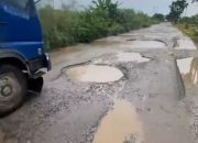 Negeri Seribu Lubang, Gubernur Riau dan DPRD Riau di Desak Perbaiki Jalan Lintas Tapung Raya