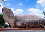 Patung Penyu Gadobangkong Palabuhanratu Habiskan Anggaran Miliaran, Ternyata Terbuat dari Bambu dan Kardus