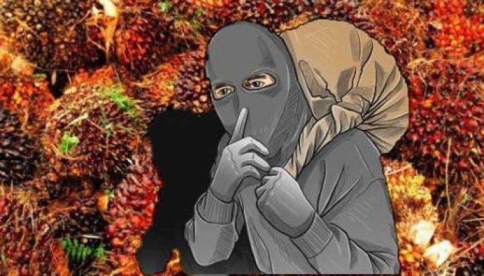 Lakukan Pengejaran Terhadap Pelaku Ninja Sawit, Scurity PT SBAL Tidak Sengaja Lukai Seorang Pemuda