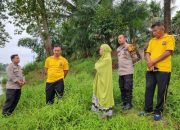 Tim Gabungan Terus Berupaya Mencari Korban Perempuan Tenggelam di Sungai Kampar