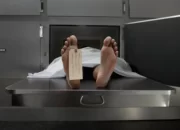 Perihal Sendal Jepit Nyawa Teman Melayang