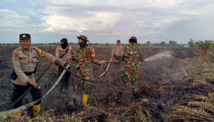 Petani Rohil Diamankan Petugas, Bakar Lahan Hingga Meluas 10 Hektare
