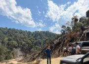Bakar Hutan 10 Hektar, 3 Orang Diamankan Polisi
