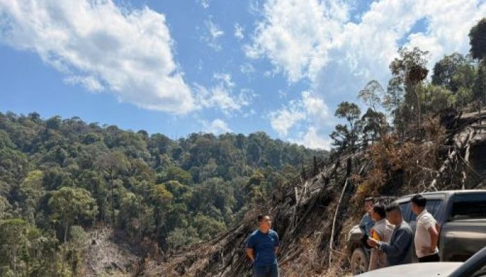 Bakar Hutan 10 Hektar, 3 Orang Diamankan Polisi