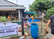 IKA BKPRMI Kota Medan Tebar Satu Hewan Kurban di Idul Adha 1446 H, Perkuat Solidaritas dan Kepedulian Sosial