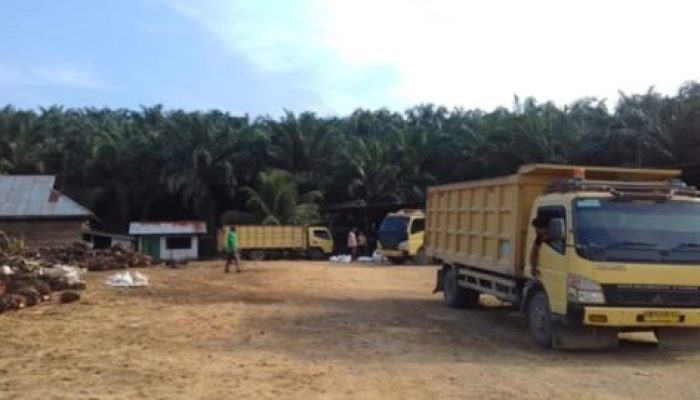 Satgas Inti Prabowo Kecam Perusahaan Perusak Hutan, Desak Negara Bertindak Tegas