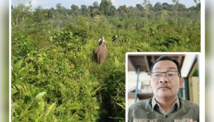 Antara Kelestarian dan Kemanusiaan di Kawasan TNTN