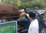 Polda Riau Kurban 151 Sapi dan 48 Kambing di Bagikan Ke Masjid dan Pesantren