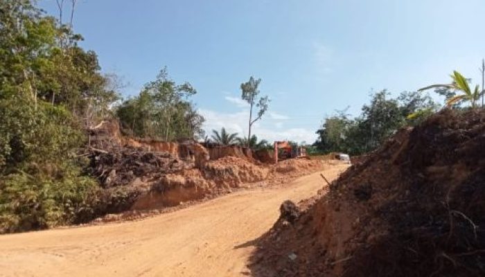 Diduga Usaha Galian Tanah Timbunan Ilegal Bebas Beroperasi di Desa Simpang Kubu