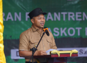 Gubri Wahid Lestarikan Mangrove di Inhil Demi menjaga Pasisir Riau
