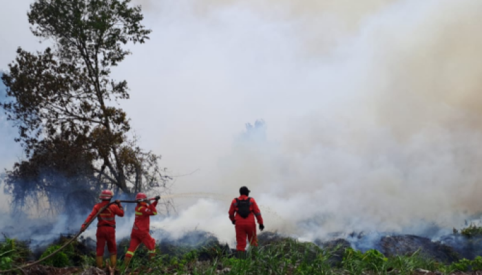 Tanggap Darurat Karhutla, Rohil dan Rohul Darurat Lebih Dulu