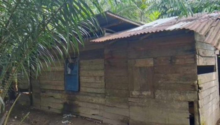 Rumah Warga Miskin Tak Layak Huni di Ganting Damai, Warga Minta Bupati Kampar Bertanggung Jawab hingga Libatkan Presiden Prabowo