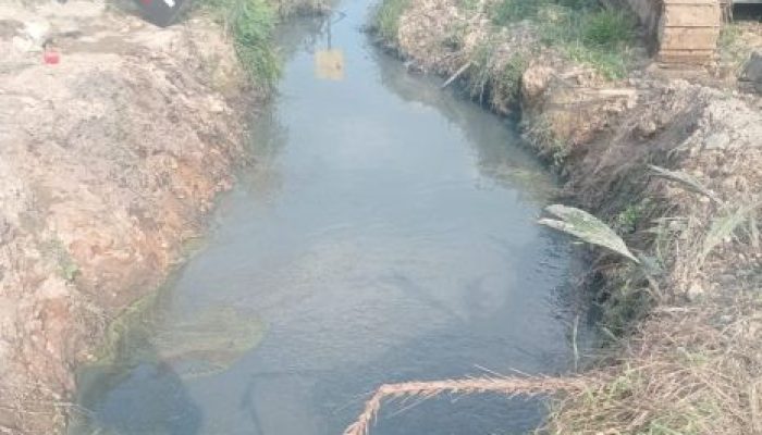 Warga Ukui Dua Keluhkan Dugaan Pencemaran Limbah PKS PT Gandaerah Hendana, Tuntut Profesionalitas Pengelolaan