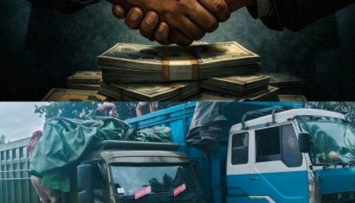 Diduga Minta Takedown Berita, Bos Usaha Inti Sari Sawit D Manalu Tawarkan Imbalan ke Media