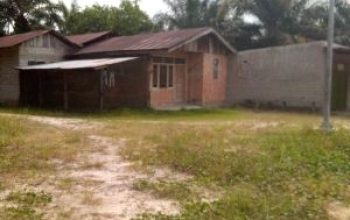 Diduga Kebal Hukum, Bos Rokok Ilegal Berinisial HN di Inhu Masih Bebas Beroperasi?