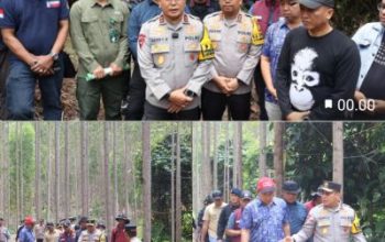 Sambangi Lokasi Pembunuhan Gajah, Kapolda Riau Tegaskan Scientific Crime Investigation dalam Pengusutan Kasus
