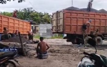 Dugaan Pengalihan Inti Sawit BUMN di Kampar Menguat, Sorotan Tertuju pada Pengawasan PTPN IV