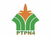 PTPN IV Regional III Sampaikan Klarifikasi dan Hak Jawab Terkait Dugaan Pengalihan Inti Sawit di Kampar