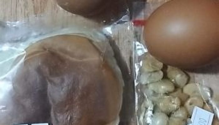 Diduga Tak Sampai Rp10 Ribu, Menu MBG MTS Nurul Jadid di Tapung Disorot Orang Tua Murid