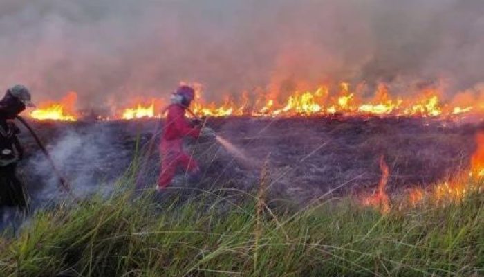 Karhutla Riau Kembali Meningkat, Ujian Ketegasan Negara di Panggung Nasional