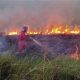 Karhutla Riau Kembali Meningkat, Ujian Ketegasan Negara di Panggung Nasional