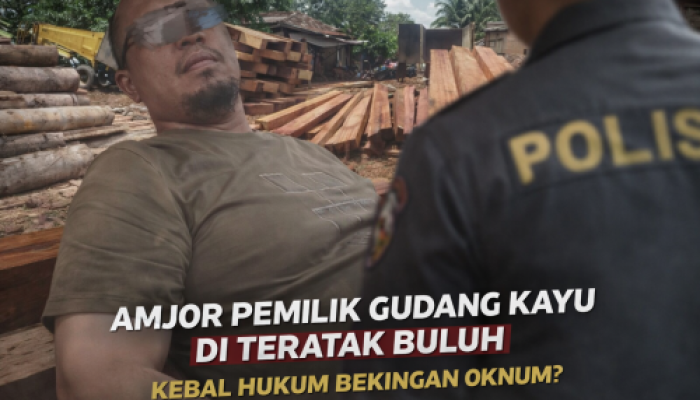 Diduga Kebal Hukum, Kanit Tipidter Polres Kampar Didesak Tangkap Amjor Pemilik Gudang Kayu di Teratak Buluh