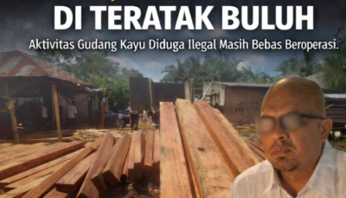 Diduga Amjor Pemilik Gudang Kayu Ilegal di Teratak Buluh Minta Hapus Pemberitaan, Ngaku Humas dan Kumpulkan Uang Keamanan