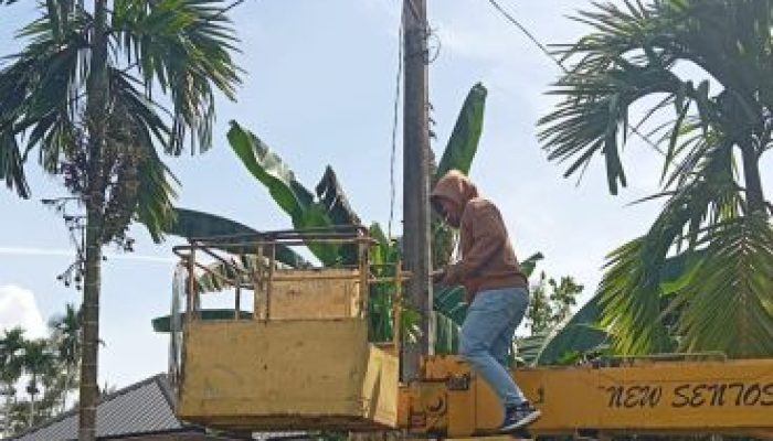 Lampu Jalan di Ganting Damai Sempat Mati, Dishub Kampar Bergerak Cepat Lakukan Perbaikan