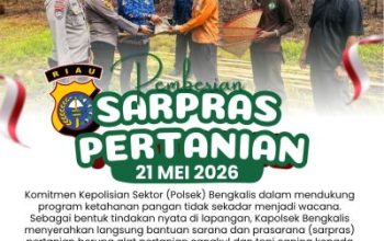 Wujud Aksi Nyata Polri, Kapolsek Bengkalis Serahkan Bantuan Cangkul dan Caping Untuk Petani Jagung Pipil