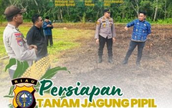 Dukung Ketahanan Pangan, Kapolsek Bengkalis Gandeng Pemdes Kelebuk  Dorong Budidaya Jagung Pipil
