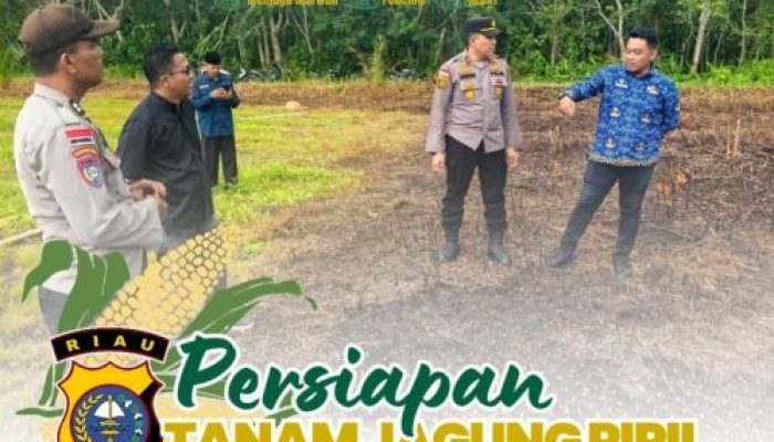 Dukung Ketahanan Pangan, Kapolsek Bengkalis Gandeng Pemdes Kelebuk  Dorong Budidaya Jagung Pipil