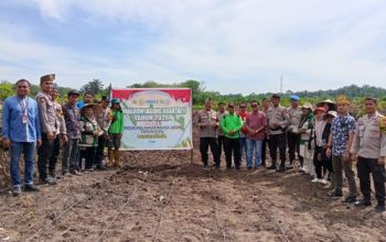 Dukung Swasembada Pangan 2026, Kapolsek Kampar Pimpin Penanaman Jagung Kuartal II di Rumbio Jaya