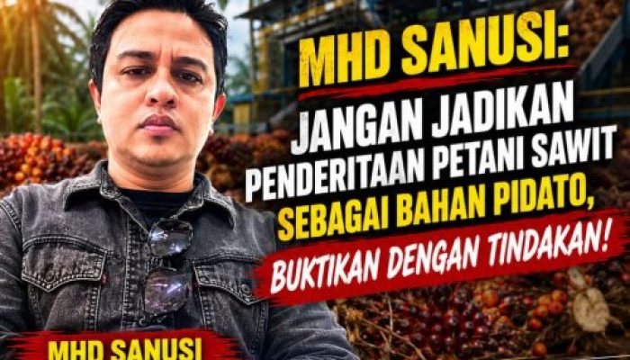 Mhd Sanusi: Jangan Jadikan Penderitaan Petani Sawit Sebagai Bahan Pidato, Buktikan dengan Tindakan!