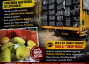 Diduga Buah Impor Ilegal Bebas Bongkar di Pekanbaru, Pengawasan Dipertanyakan: APH dan Bea Cukai Dinilai Tutup Mata