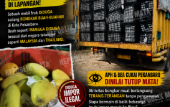 Diduga Buah Impor Ilegal Bebas Bongkar di Pekanbaru, Pengawasan Dipertanyakan: APH dan Bea Cukai Dinilai Tutup Mata