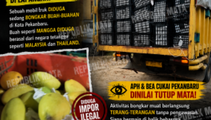 Diduga Buah Impor Ilegal Bebas Bongkar di Pekanbaru, Pengawasan Dipertanyakan: APH dan Bea Cukai Dinilai Tutup Mata