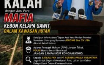 KNPI Riau Desak APH Tangkap dan Penjarakan Mafia Kebun Kelapa Sawit Dalam Kawasan Hutan, Larshen Yunus: “Sosok Asiong CV JSA Terkenal Kebal Hukum”