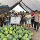 Bhabinkamtibmas Kelurahan Kampung Baru Hadiri Panen Raya Semangka Kelompok Tani Cipta Karya Abadi