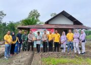 Polsek Kampar Intensifkan Pendampingan Ketahanan Pangan, Bhabinkamtibmas Rutin Pantau Perkembangan Tanaman Jagung Warga