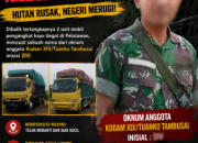 Dibalik Penangkapan Dua Truk Kayu Ilegal di Pelalawan, Muncul Dugaan Keterlibatan Oknum Berinisial DV