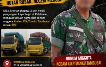 Dibalik Penangkapan Dua Truk Kayu Ilegal di Pelalawan, Muncul Dugaan Keterlibatan Oknum Berinisial DV