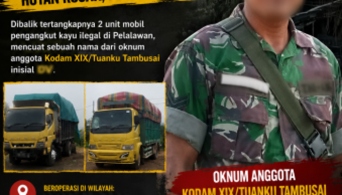 Dibalik Penangkapan Dua Truk Kayu Ilegal di Pelalawan, Muncul Dugaan Keterlibatan Oknum Berinisial DV